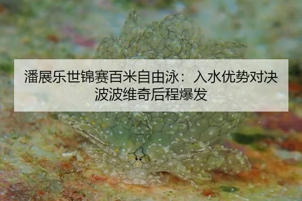 pan-zhan-le-shi-jin-sai-bai-mi-zi-you-yong-ru-shui-you-shi-dui-jue-bo-bo-wei-qi-hou-cheng-bao-fa-2-445.jpg