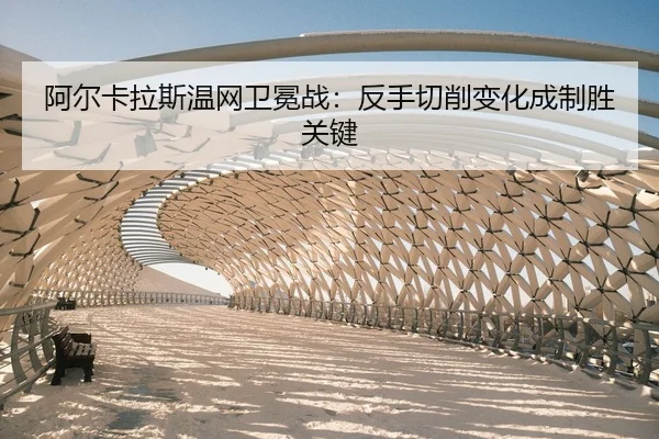 a-er-ka-la-si-wen-wang-wei-mian-zhan-fan-shou-qie-xiao-bian-hua-cheng-zhi-sheng-guan-jian-2-652.jpg