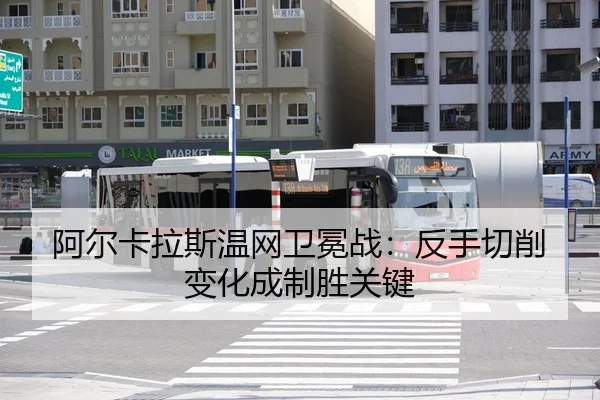 a-er-ka-la-si-wen-wang-wei-mian-zhan-fan-shou-qie-xiao-bian-hua-cheng-zhi-sheng-guan-jian-3-933.jpg